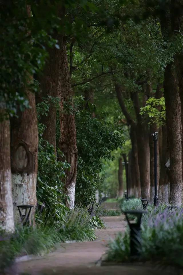 绿化率100%，最有个性的楼盘！