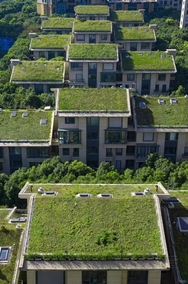 绿化率100%，最有个性的楼盘！