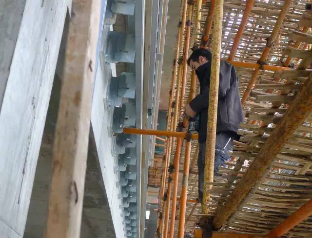 绿化率100%，最有个性的楼盘！