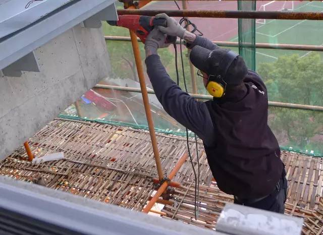 绿化率100%，最有个性的楼盘！