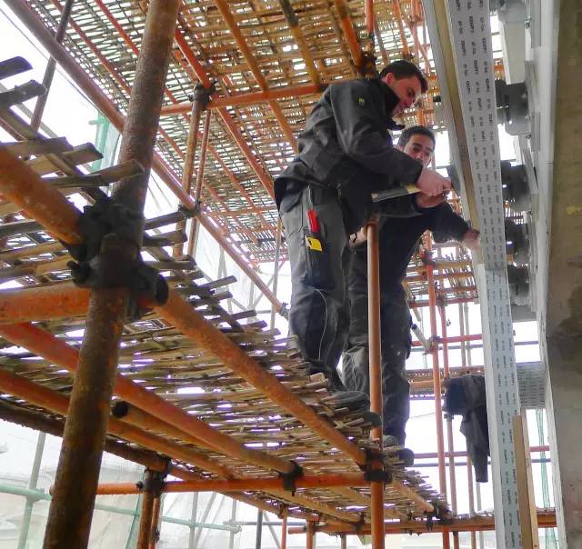 绿化率100%，最有个性的楼盘！