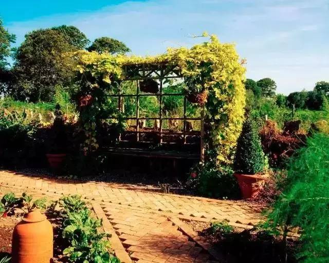 农村庭院这么漂亮，可惜，城里人也只能看看！