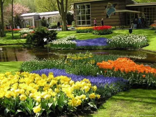 50款 · 绝美的外国的园林艺术欣赏