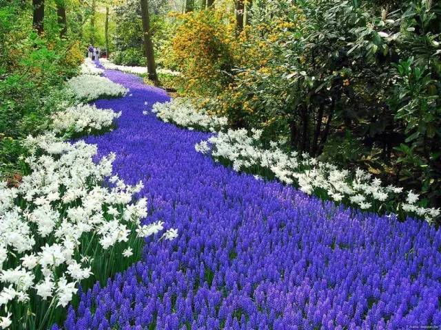 50款 · 绝美的外国的园林艺术欣赏