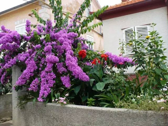 50款 · 绝美的外国的园林艺术欣赏