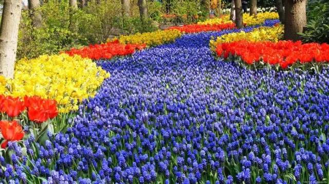 50款 · 绝美的外国的园林艺术欣赏