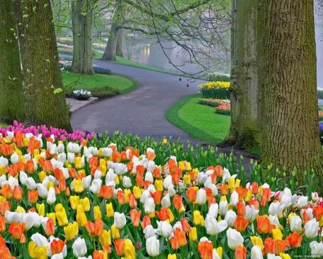 50款 · 绝美的外国的园林艺术欣赏