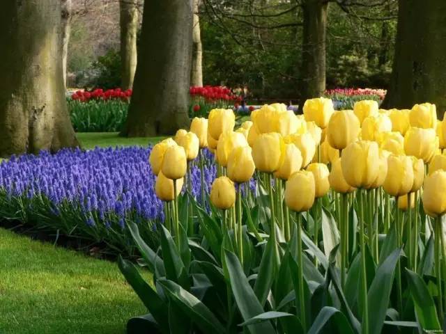 50款 · 绝美的外国的园林艺术欣赏