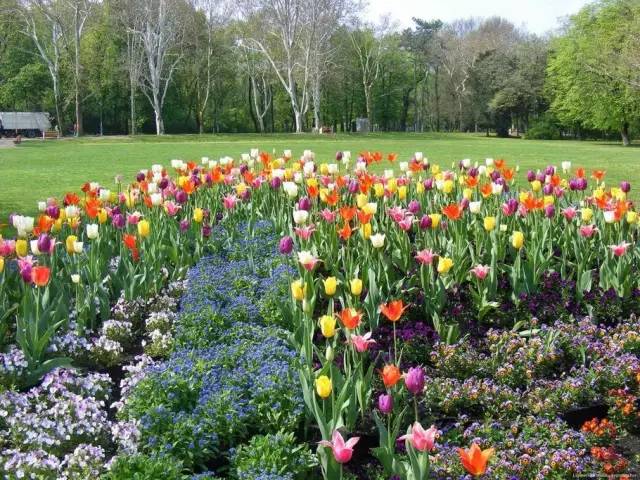 50款 · 绝美的外国的园林艺术欣赏