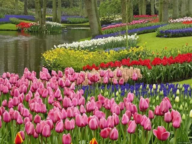 50款 · 绝美的外国的园林艺术欣赏