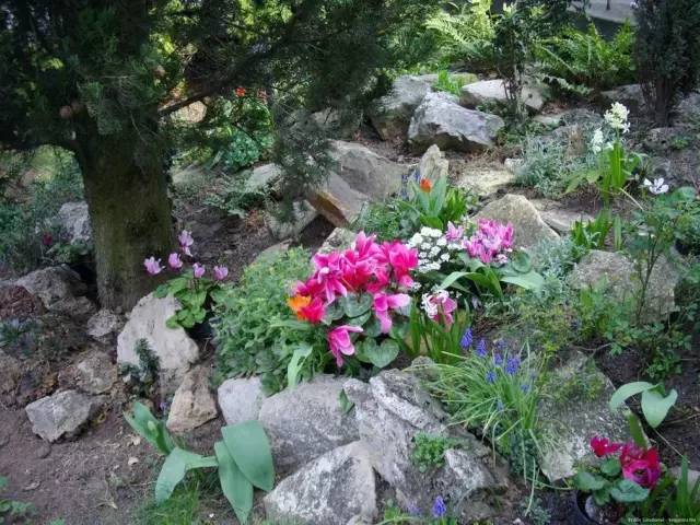 50款 · 绝美的外国的园林艺术欣赏