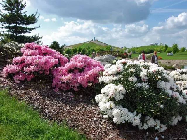 50款 · 绝美的外国的园林艺术欣赏