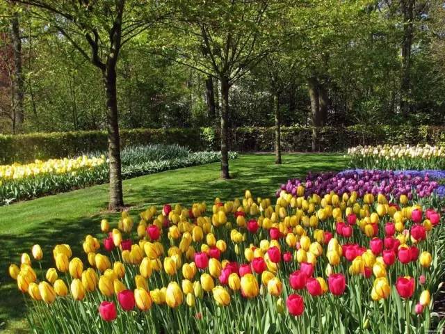 50款 · 绝美的外国的园林艺术欣赏