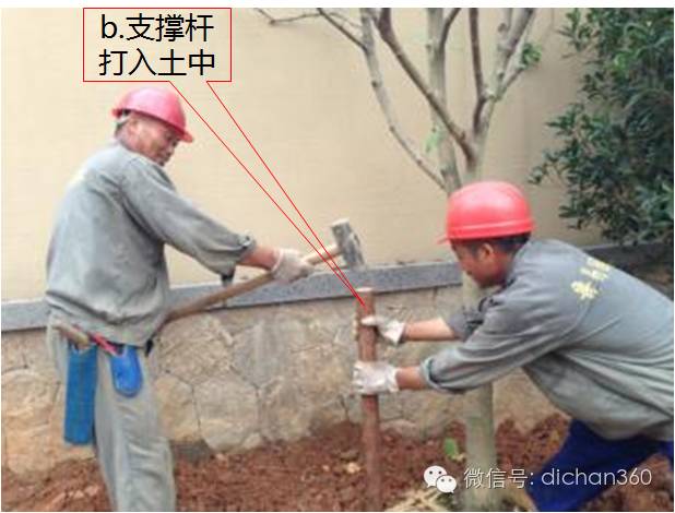 万科园林景观交付前评估项及高分做法