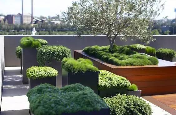 盆栽，美化了家！