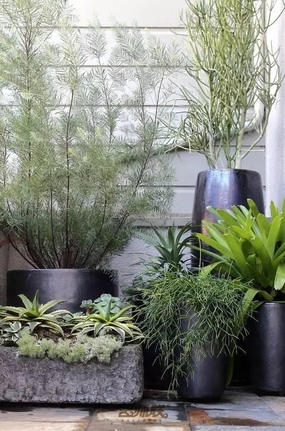 盆栽，美化了家！