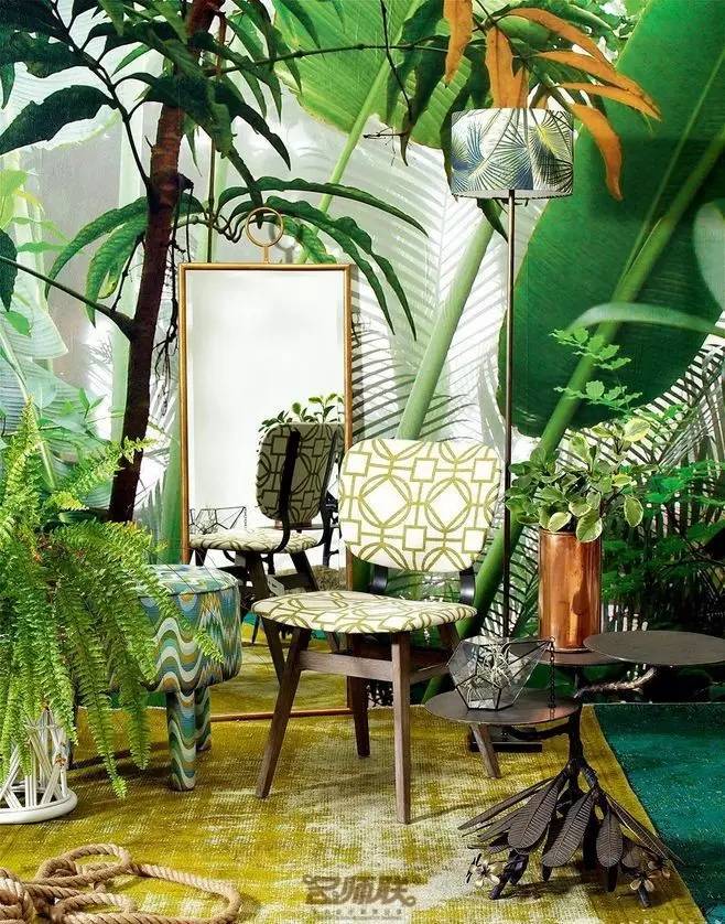 盆栽，美化了家！