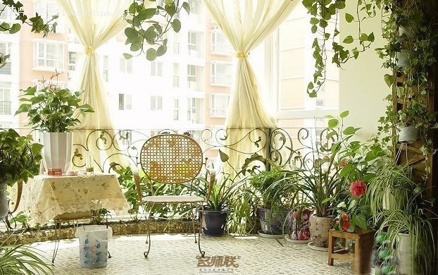 盆栽，美化了家！