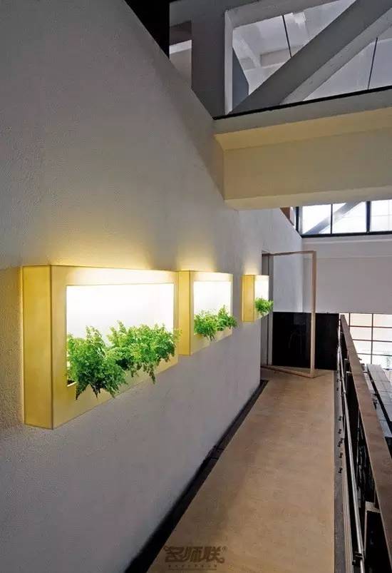 盆栽，美化了家！