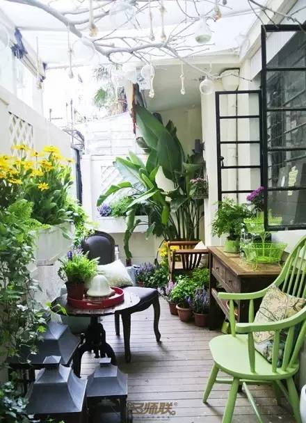 盆栽，美化了家！