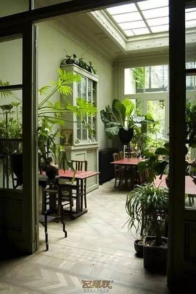 盆栽，美化了家！