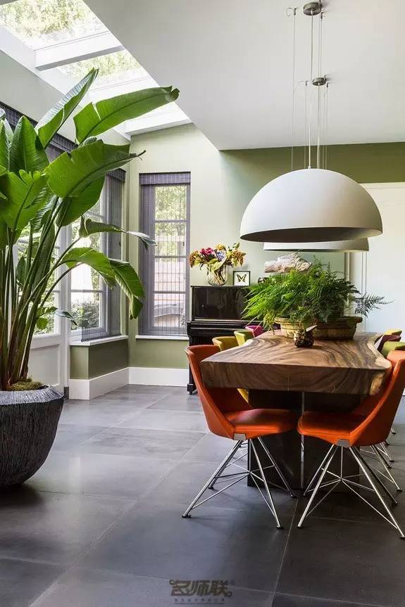 盆栽，美化了家！