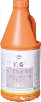 冷季型草坪越夏水分管理