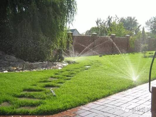 冷季型草坪越夏水分管理