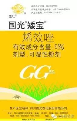 冷季型草坪越夏水分管理
