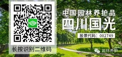 冷季型草坪越夏水分管理