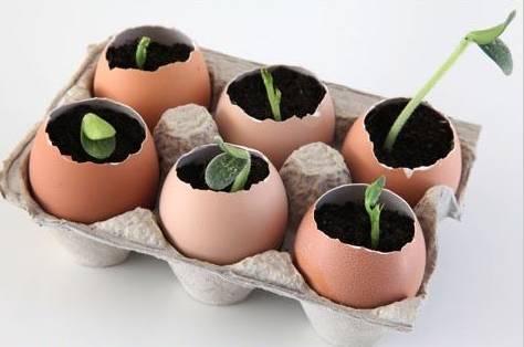 她不小心打碎了鸡蛋，结果美翻了整个家！