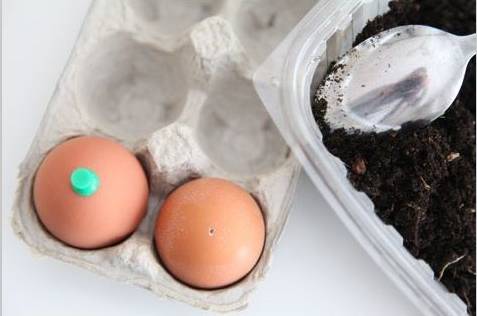 她不小心打碎了鸡蛋，结果美翻了整个家！