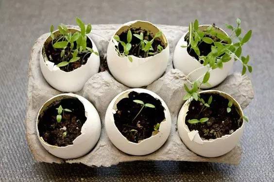 她不小心打碎了鸡蛋，结果美翻了整个家！