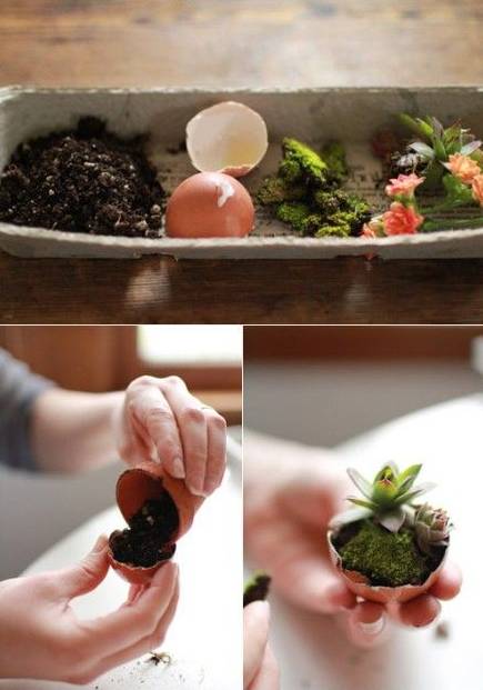 她不小心打碎了鸡蛋，结果美翻了整个家！