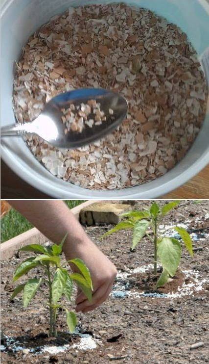 她不小心打碎了鸡蛋，结果美翻了整个家！