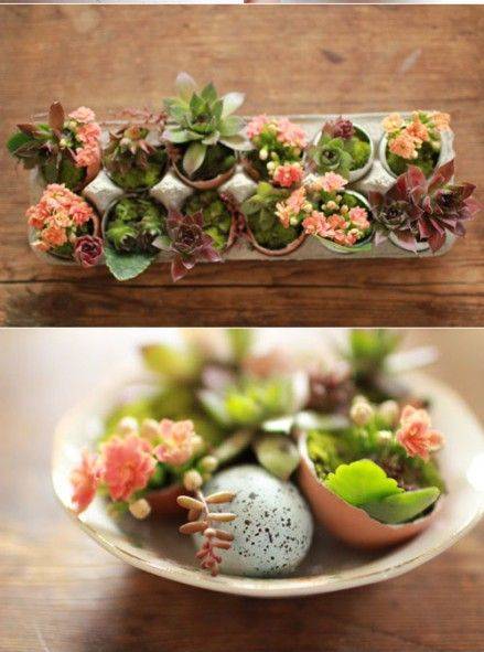 她不小心打碎了鸡蛋，结果美翻了整个家！