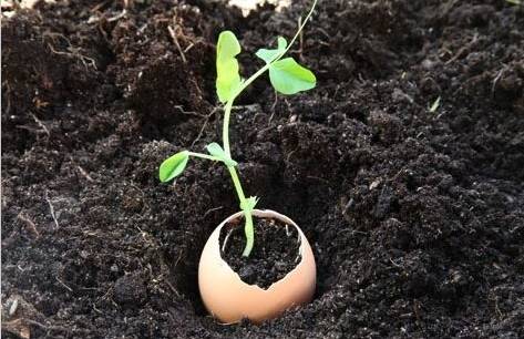 她不小心打碎了鸡蛋，结果美翻了整个家！