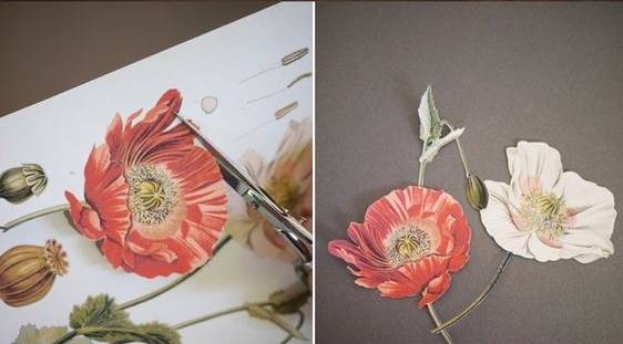 她不小心打碎了鸡蛋，结果美翻了整个家！