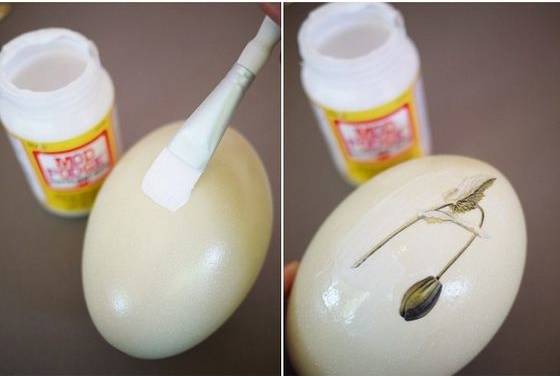 她不小心打碎了鸡蛋，结果美翻了整个家！