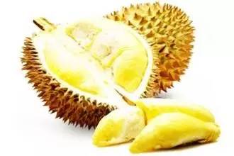 榴莲的生长全过程，太神奇了！太美了！真没见过~