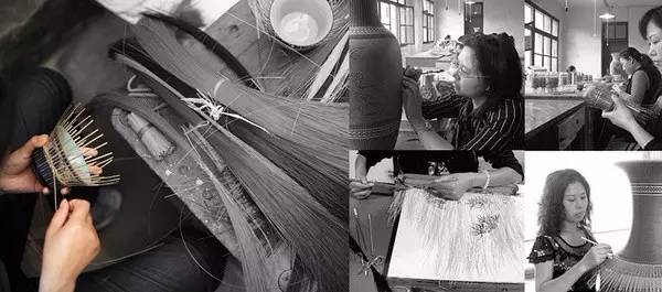 史上超全竹类植物详解！