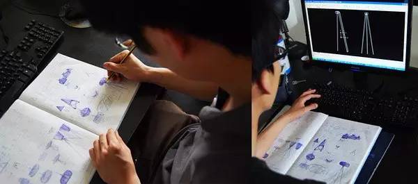 史上超全竹类植物详解！