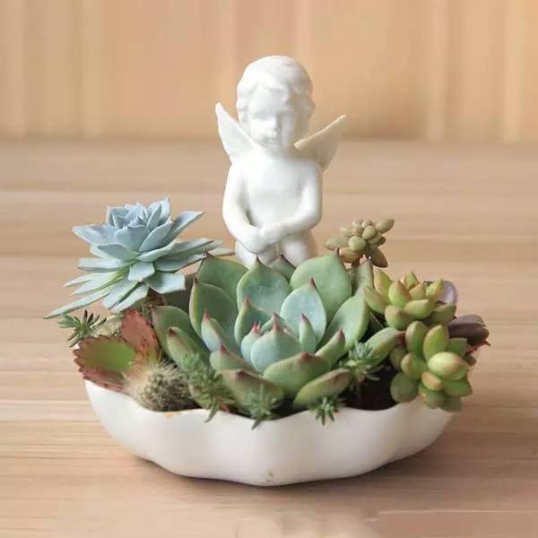 花店里各式鲜花的具体保养方法