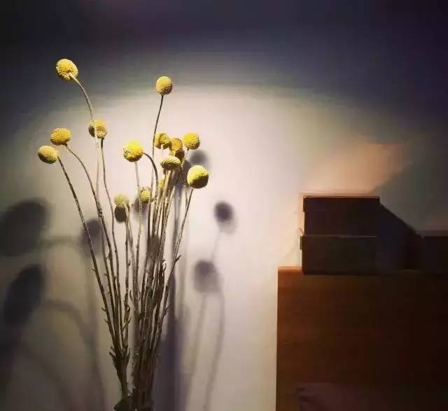 这几种植物可做干花