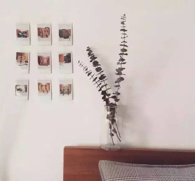 这几种植物可做干花