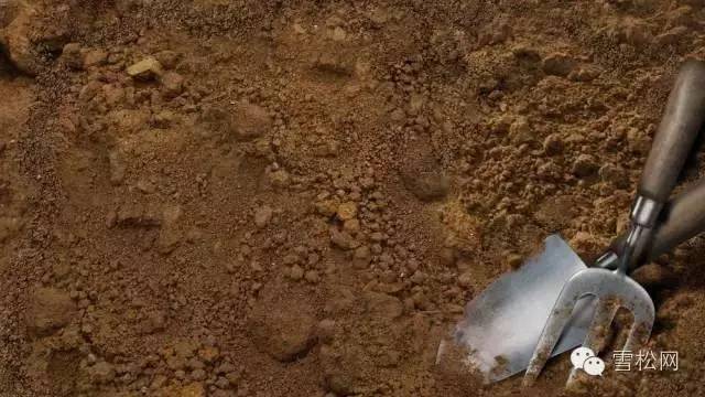  养花须知的土壤知识