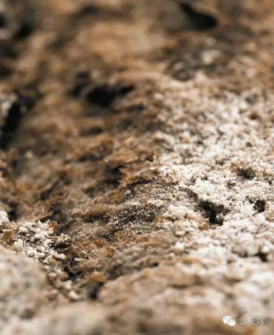  养花须知的土壤知识