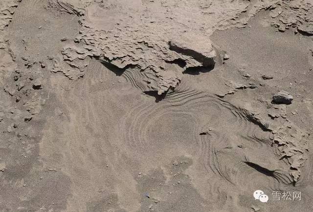  养花须知的土壤知识