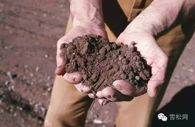  养花须知的土壤知识