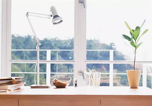 家庭养花常见病虫害及防治